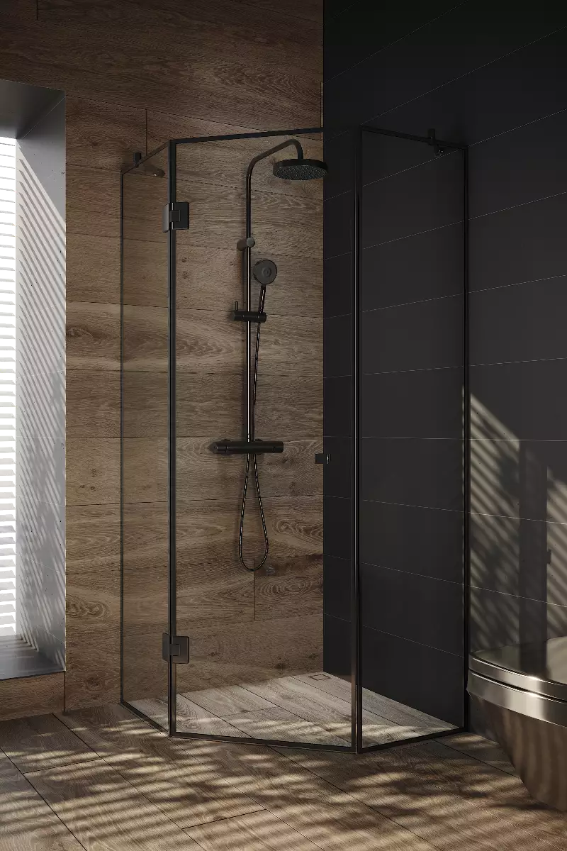 Shower enclosures and partitions for bathrooms